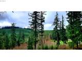 Viewcrest Dr - Photo 1
