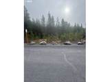  Royce Mountain Way - Photo 2