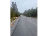  Royce Mountain Way - Photo 3