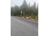  Royce Mountain Way - Photo 4