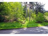 0 Rockridge Loop - Photo 1