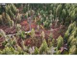 0 Belle Lake Rd - Photo 17