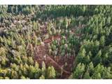 0 Belle Lake Rd - Photo 19