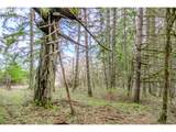 0 (Next To) Airlie Rd - Photo 17