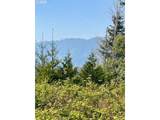 48522 Six Point Dr - Photo 4