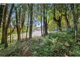 36723 Hist Columbia River Hwy - Photo 42