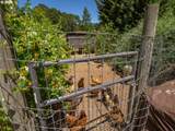2813 Roberts Ln - Photo 37