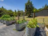 2813 Roberts Ln - Photo 43