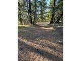  Forest Glen - Photo 11