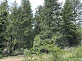  Forest Glen - Photo 3