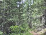  Forest Glen - Photo 9