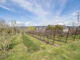 20300 Highway 240 - Photo 7