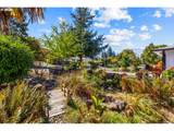 1319 Hemlock St - Photo 39