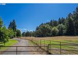 604 Woodruff Rd - Photo 4