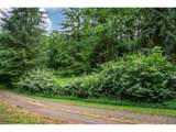 0 Hemlock Ct - Photo 7