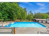 15502 Old Pumpkin Ridge Rd - Photo 41