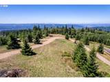 2519 China Garden Rd - Photo 11