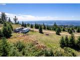 2519 China Garden Rd - Photo 17