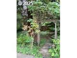 887 6TH St - Photo 36