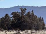  Rim Dr - Photo 22