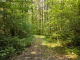 0 Green Mountain Rd - Photo 2