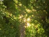 0 Green Mountain Rd - Photo 4