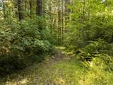 0 Green Mountain Rd - Photo 6