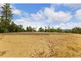 350 Pitchstone Ct - Photo 11