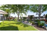 1101 Gladys Dr - Photo 31