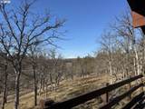 314 Pine Forest Rd - Photo 45