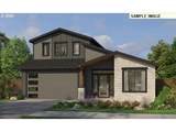 16156 Serres Farms Way - Photo 1