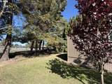 4915 Swegle Rd - Photo 42