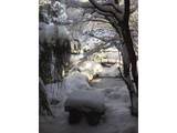 9212 Mckenna Dr - Photo 46
