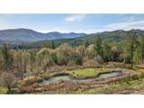 21012 Trask Toll Rd - Photo 11