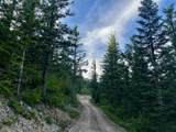  Snag Mountain Rd - Photo 8
