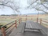 71564 Palmer Junction Rd - Photo 39