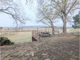 71564 Palmer Junction Rd - Photo 40