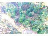  Newport Heights Dr - Photo 31