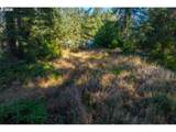 93619 Driftwood Inn Ln - Photo 11