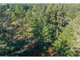 93619 Driftwood Inn Ln - Photo 12