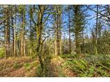 0 Penridge Rd - Photo 15