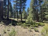  Incline Dr - Photo 5