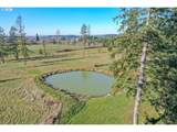 40327 Linn Haven Loop - Photo 41