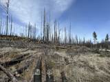  Hicks Rd - Photo 28