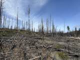  Hicks Rd - Photo 31
