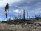  Hicks Rd - Photo 35
