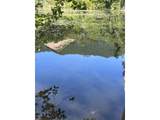 2 Brightwood Loop Rd - Photo 5