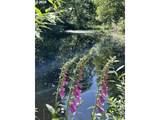2 Brightwood Loop Rd - Photo 8
