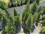 54444 Mckenzie River Dr - Photo 30