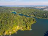2647 Tenmile Lk - Photo 16